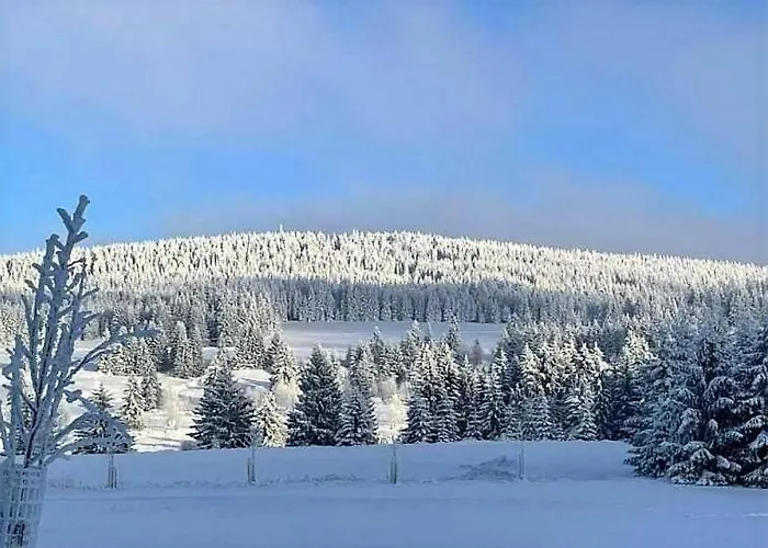 Ochsendorf - Pod Strani Lejlighed Horní Blatná